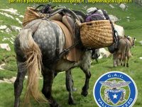 Seconda Edizione La Via Del Mercato